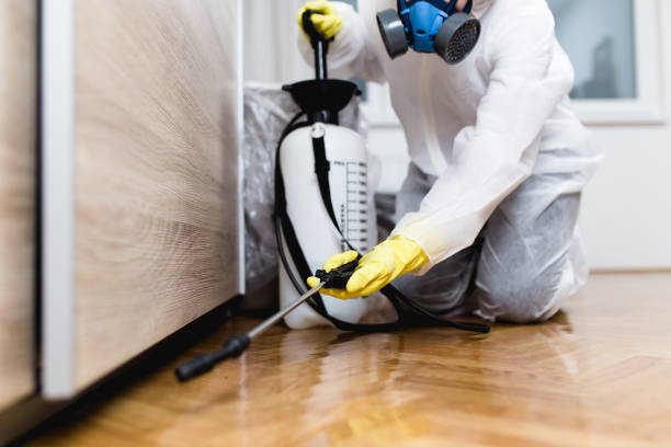 Best Termite Control Services  in Tenino, WA