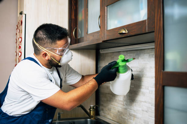 Best Pest Control for Restaurants  in Tenino, WA