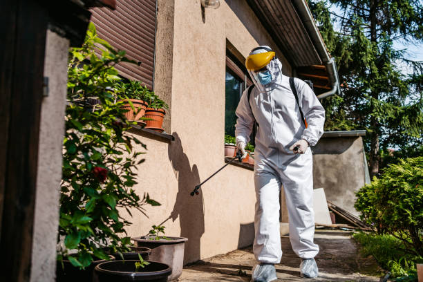 Best Bird Control  in Tenino, WA