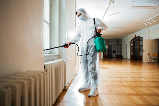 Best Mosquito Control Services  in Tenino, WA